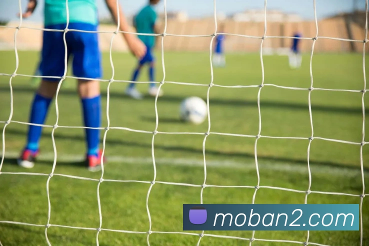 App Interface Preview